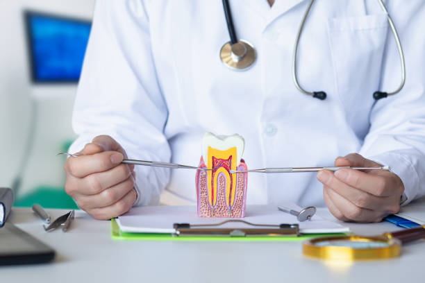 Best Emergency TMJ Treatment in Noblesville, IN